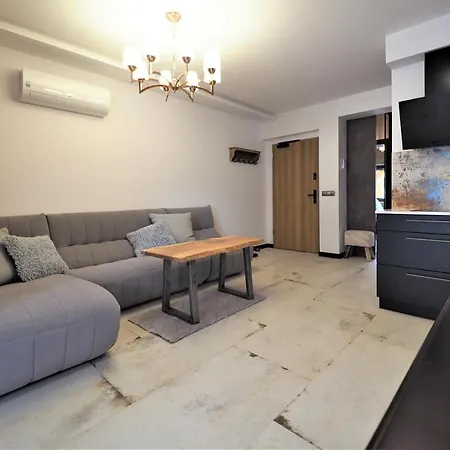 Vip Modrzejewska Apartment *