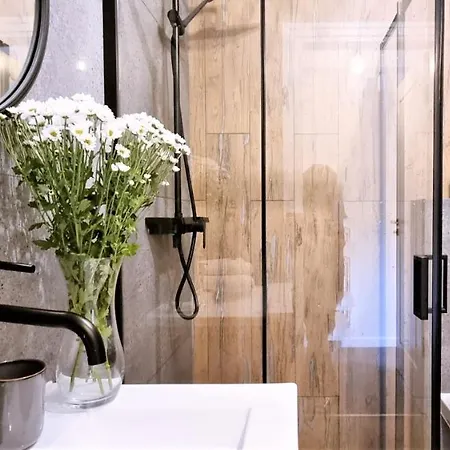 Apartament Vip Modrzejewska *