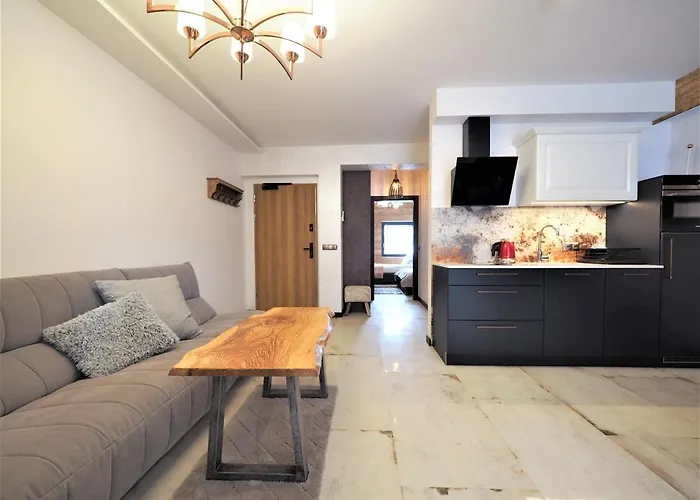 公寓 Vip Modrzejewska 扎科帕内